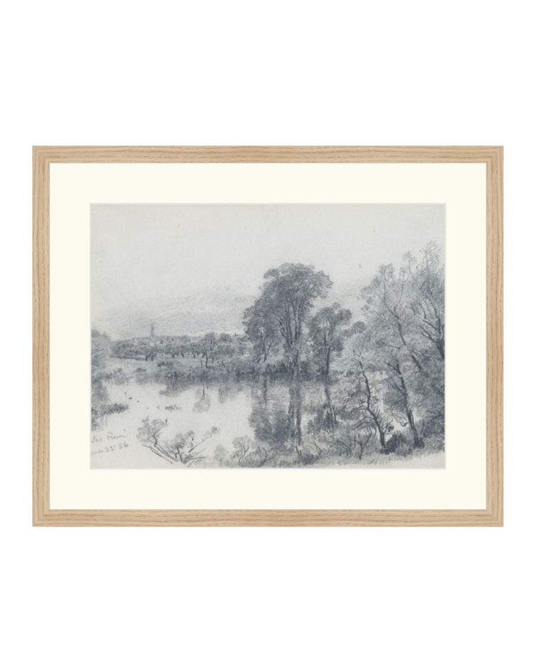 Forest Sketch