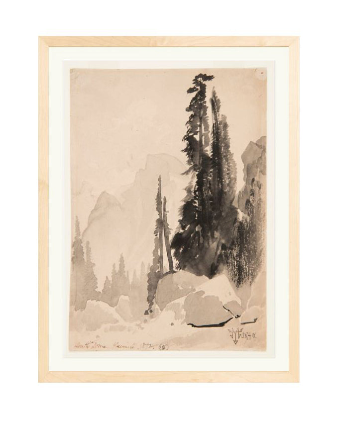 Antique Trees Drawing