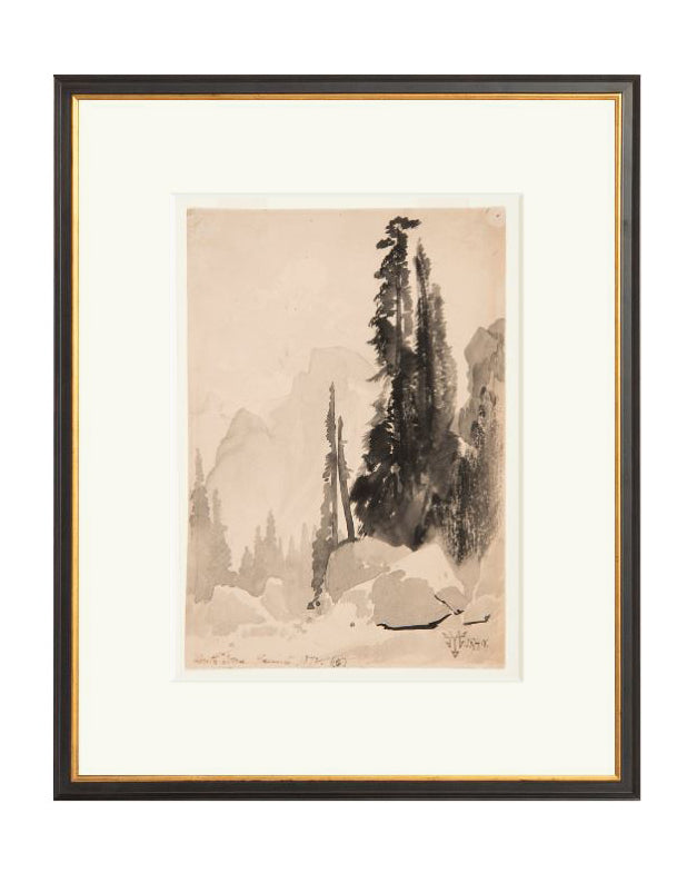 Antique Trees Drawing