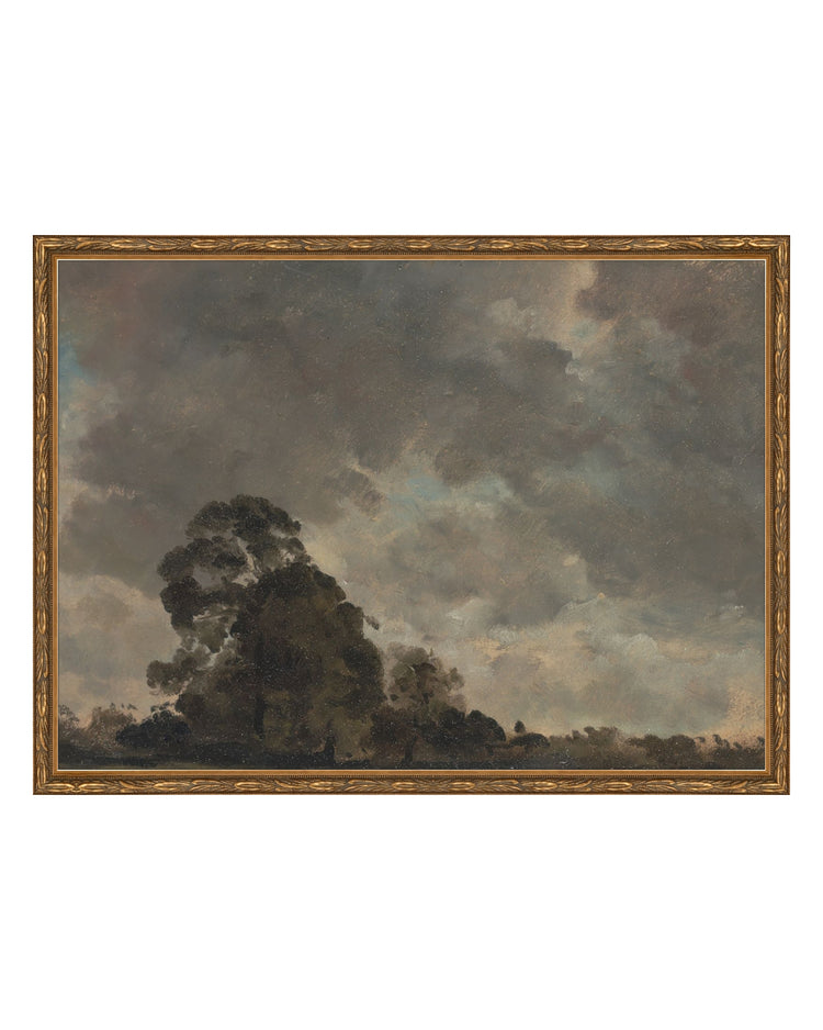 Trees On The Horizon