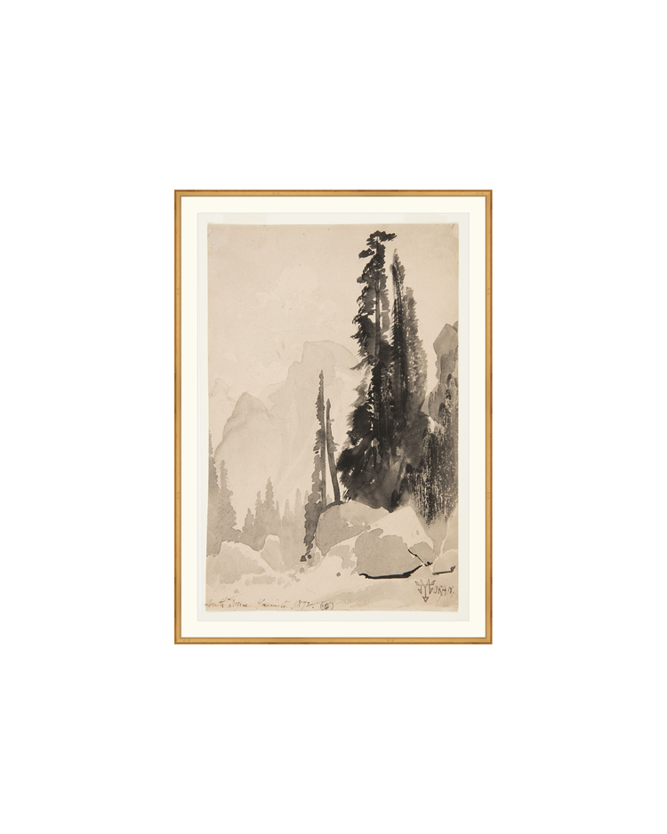 Antique Trees Drawing OAShop