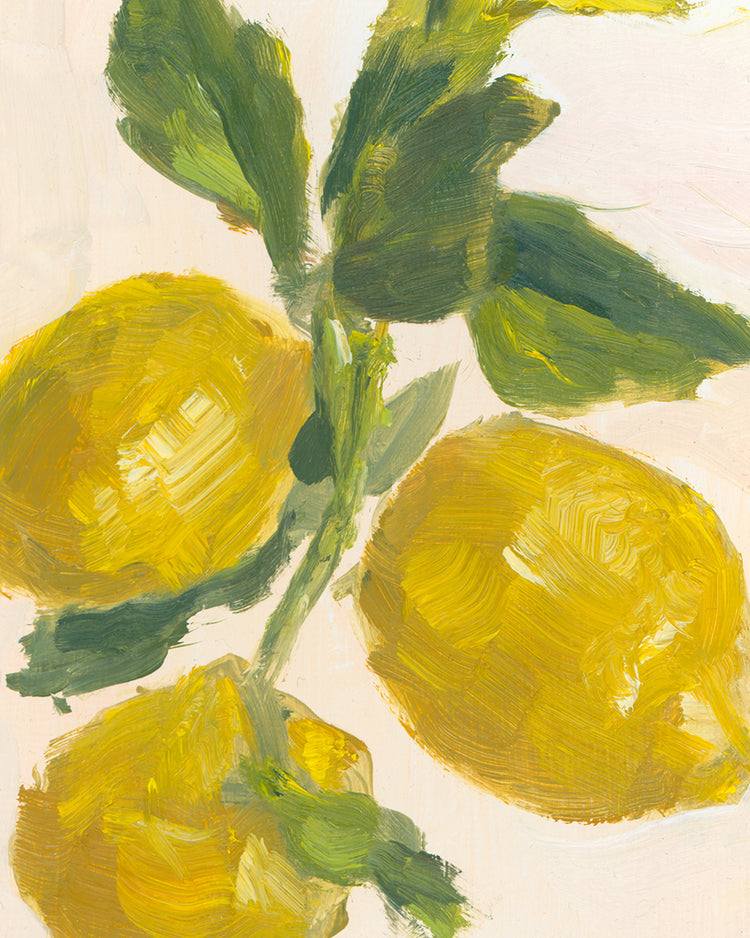 Lemon Branch