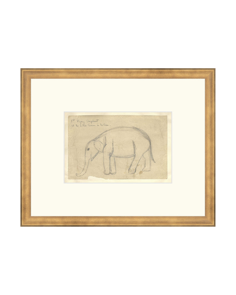 Elephant Drawing