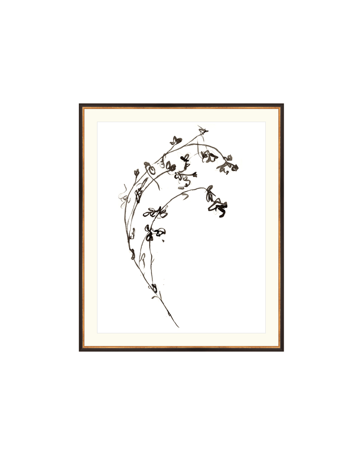 Botanical Ink Study I HoJ
