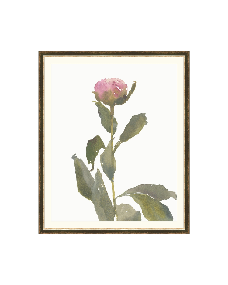 Single Rose