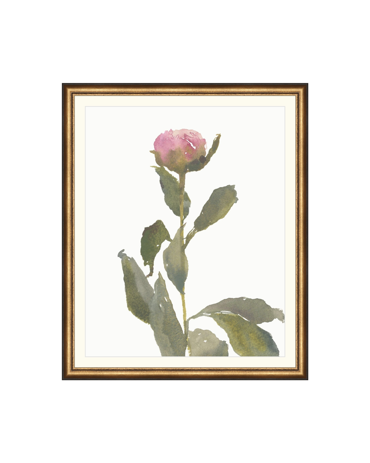 Single Rose