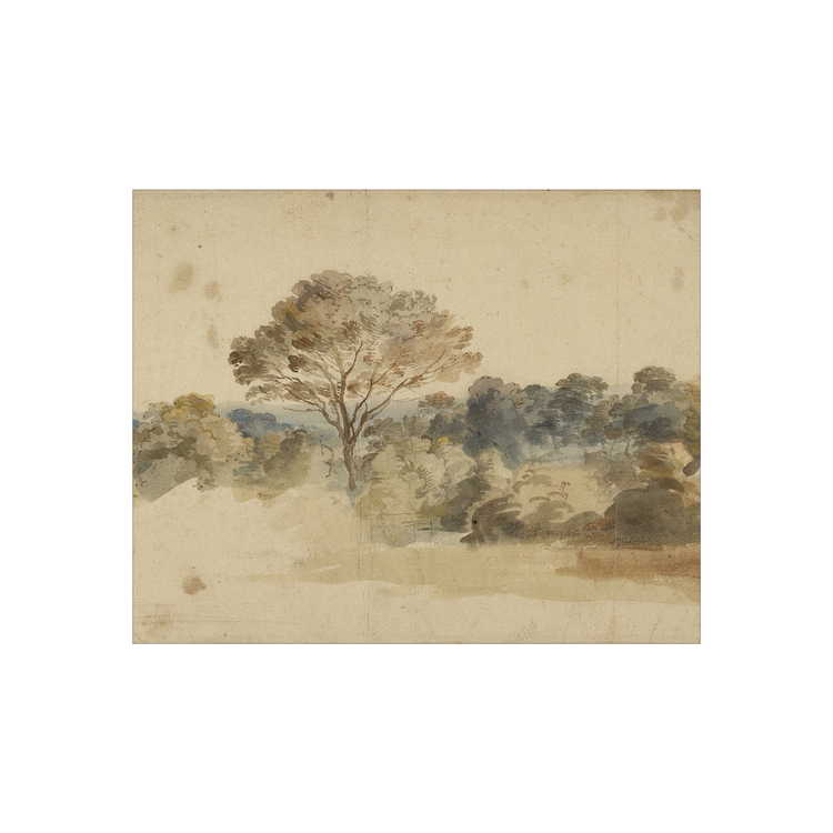 Baroque Landscape AIShop