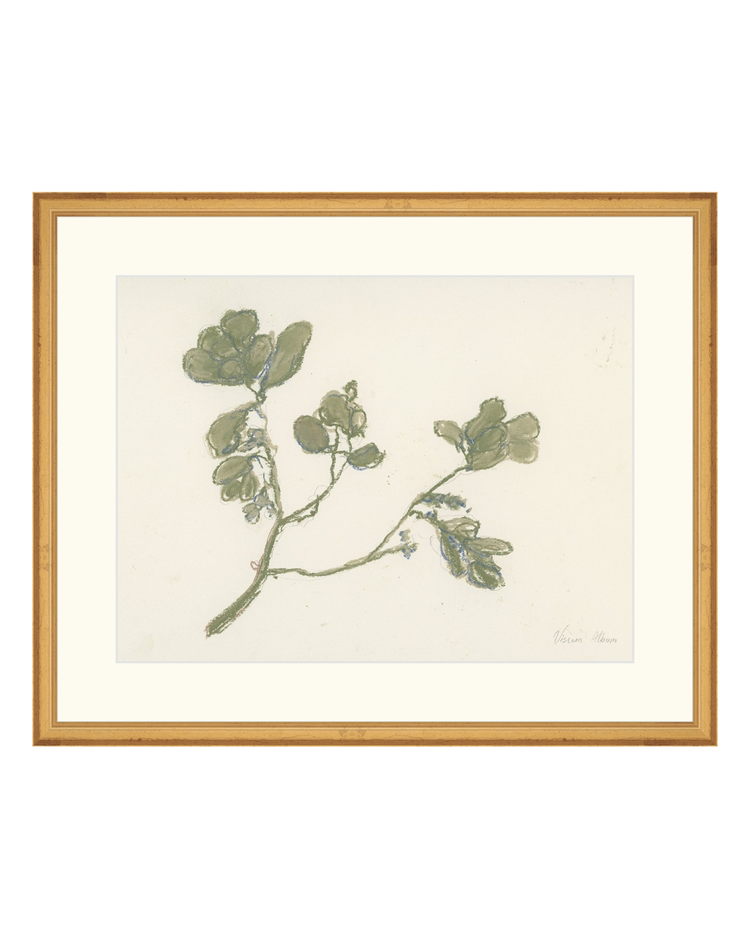 Pastel Mistletoe