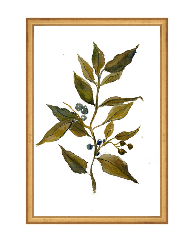 Watercolor Branch LG