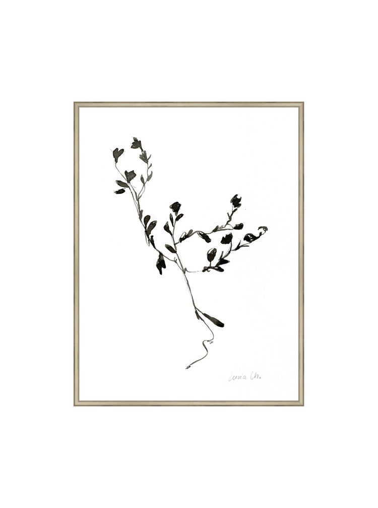 Sketched Botanical HoJ 2