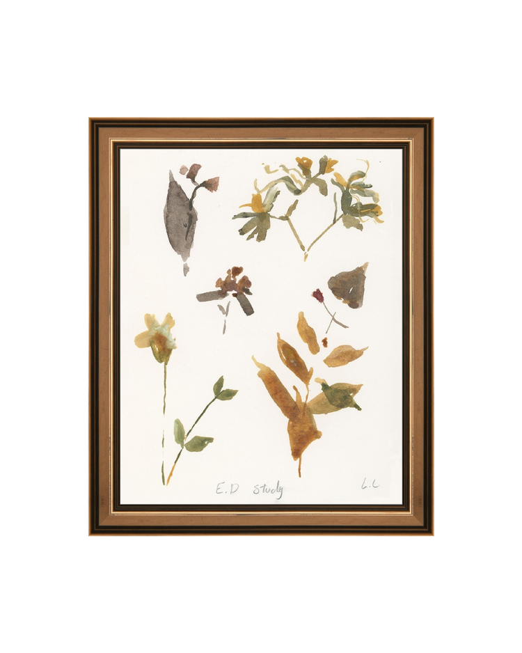 E.D Botanical Study