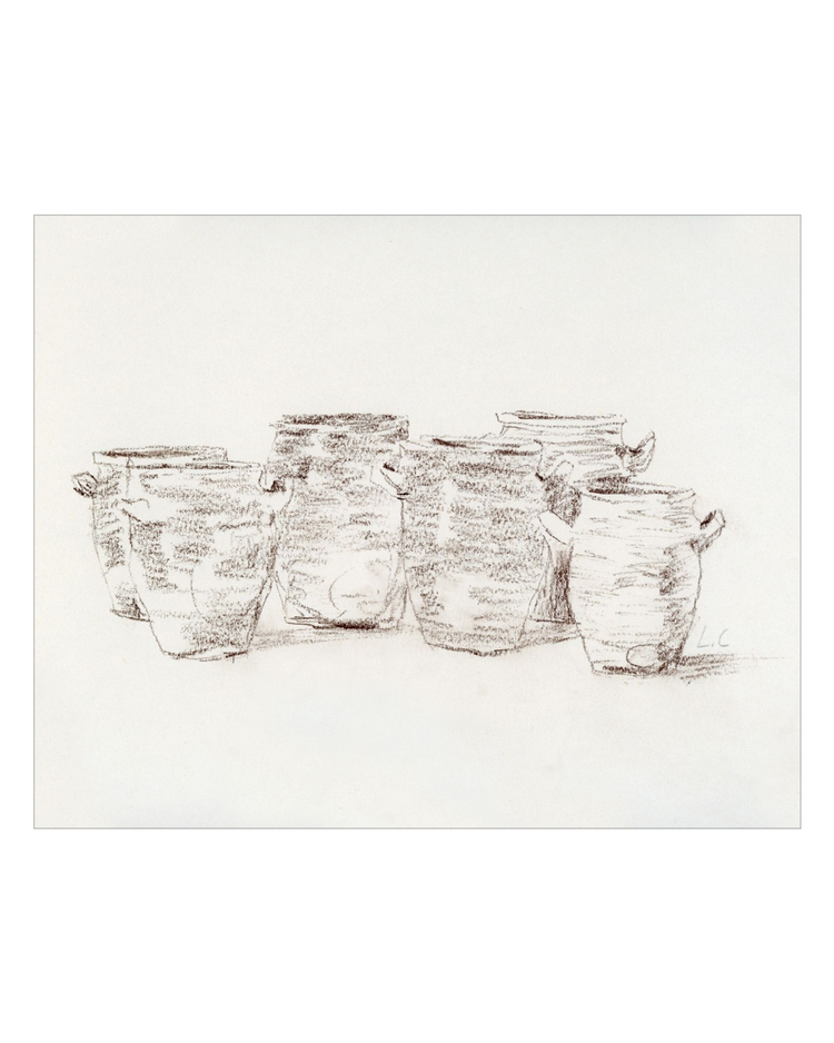 Vintage Vases Sketch