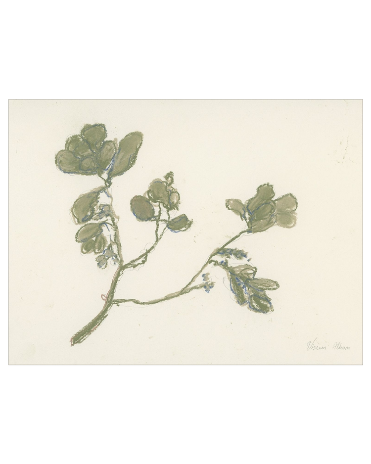 Pastel Mistletoe