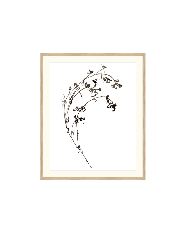 Botanical Ink Study I HoJ