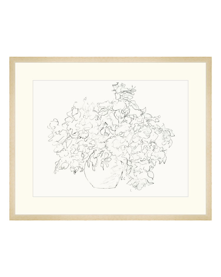 Vase of Flowers Sketch