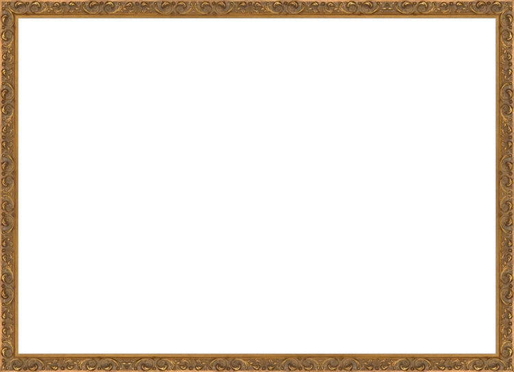 Antique Ornate Gold Frame. Opening Size: 19x27. Final Size: 20'' X 28''