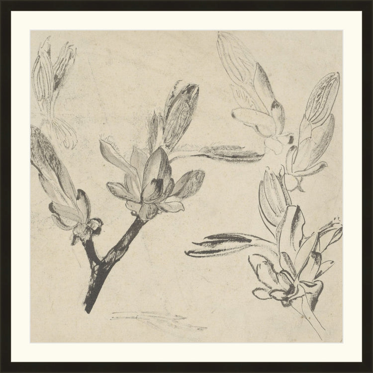 Framed Floral Drawing III. Frame: Just Black. Paper: Rag Paper. Art Size: 22x22. Final Size: 26'' X 26''