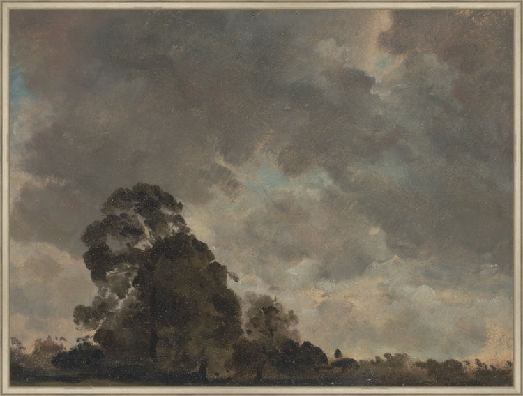 Trees on the Horizon HoJ