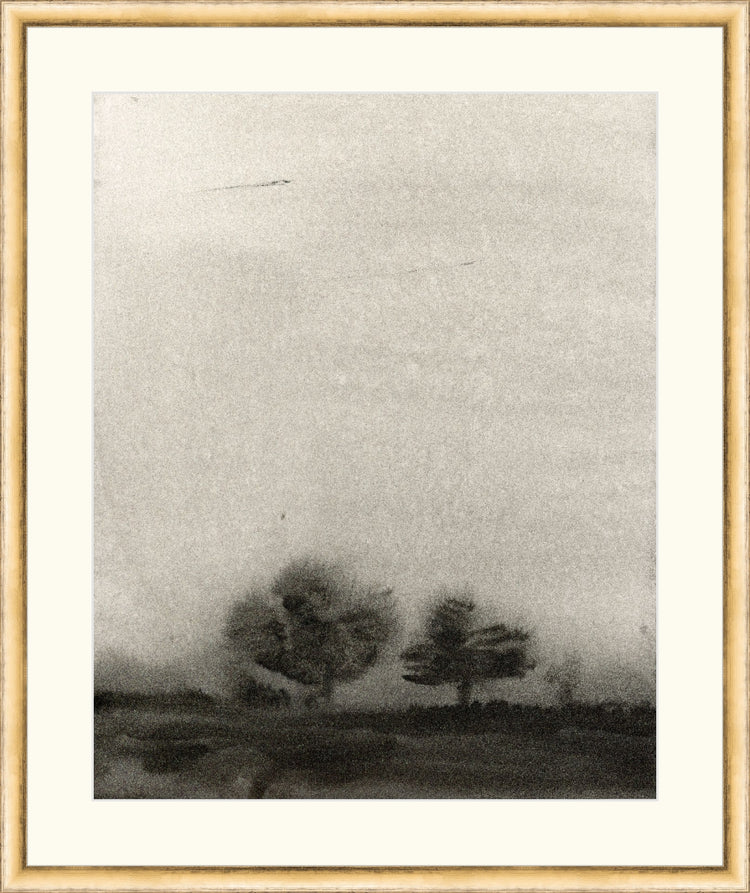 Trees In The Mist OAShop 2