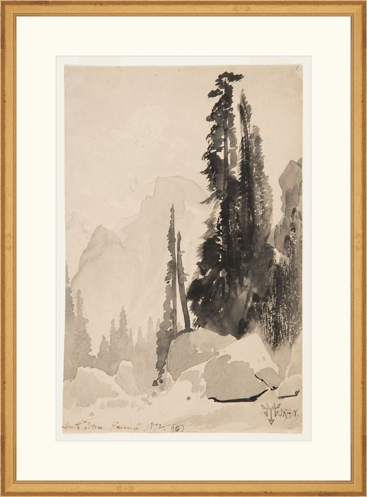 Antique Trees Drawing OAShop 2