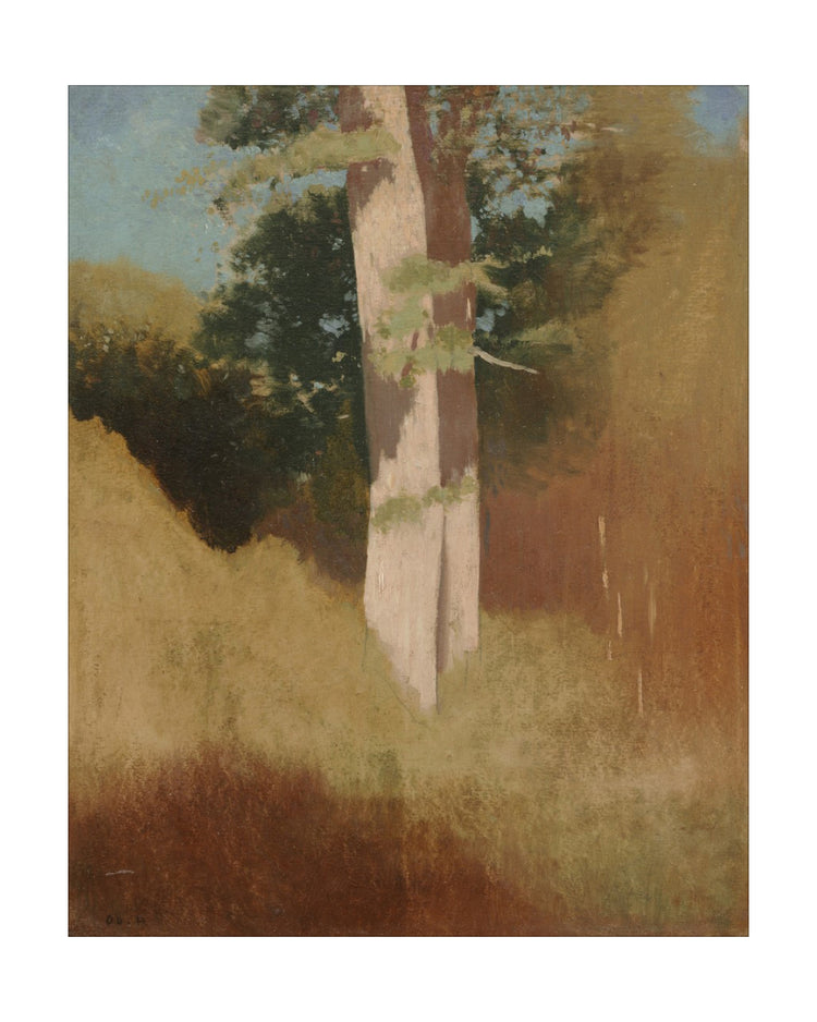 Oil Tree Study