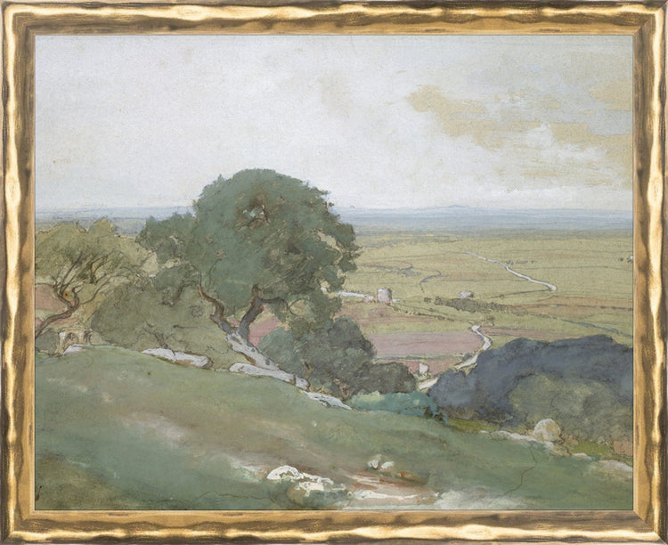 Framed Olivos. Frame: Gold Textured. Paper: Rag Paper. Art Size: 8x10. Final Size: 8'' X 10''