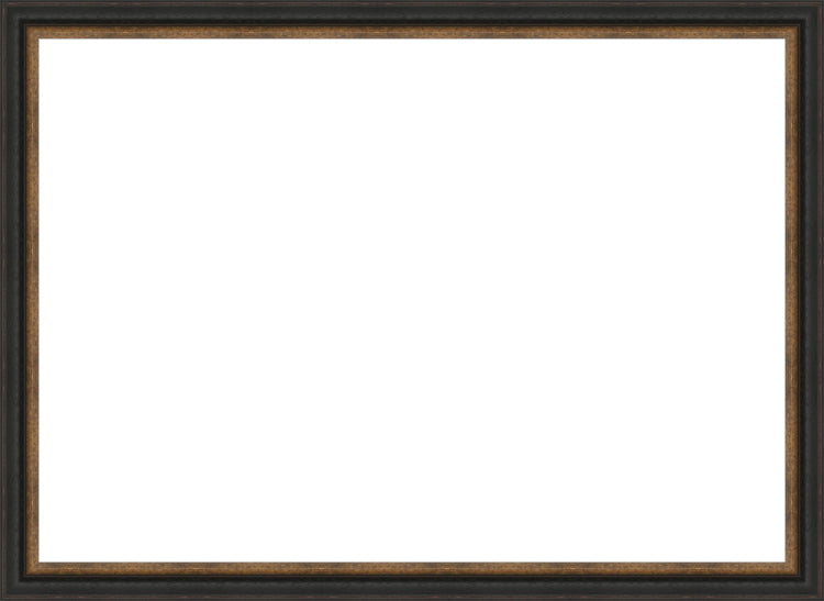 Antique Black and Gold Frame. Opening Size: 19x27. Final Size: 21'' X 29''