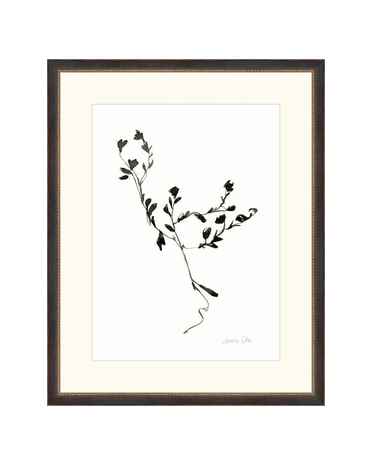 Sketched Botanical
