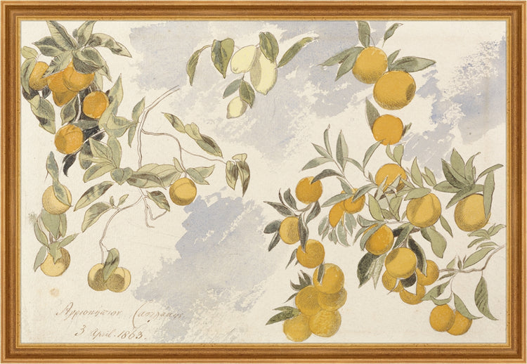 Framed Orangerie. Frame: Light Toffee. Art Size: 20x30. Final Size: 22'' X 32''