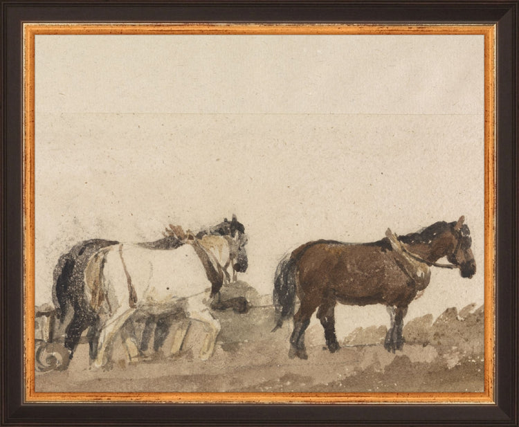 Watercolor Horses HoJ