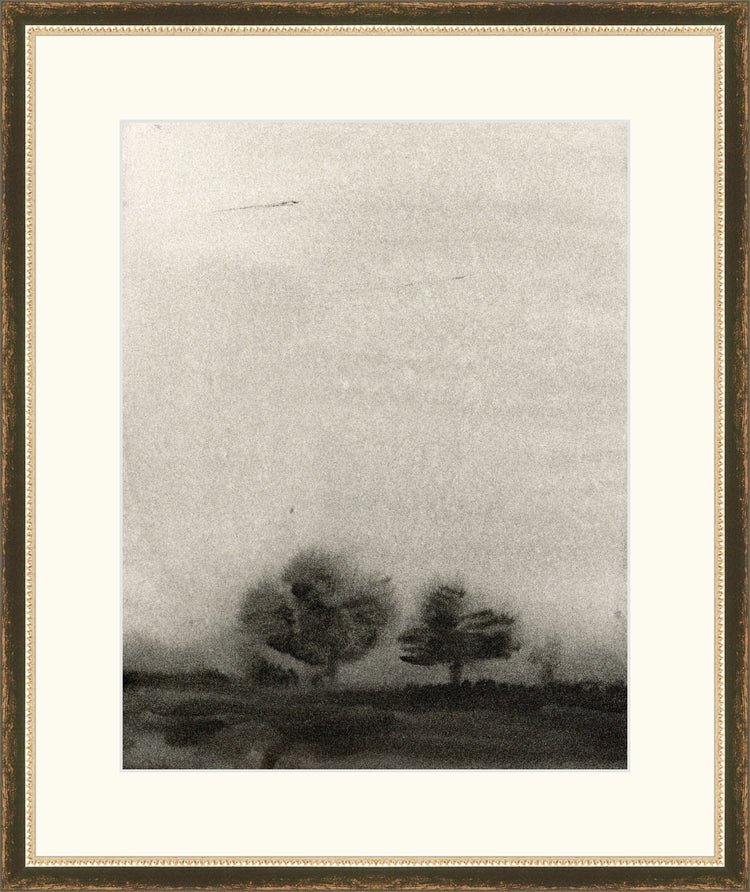 Trees In The Mist OAShop 2