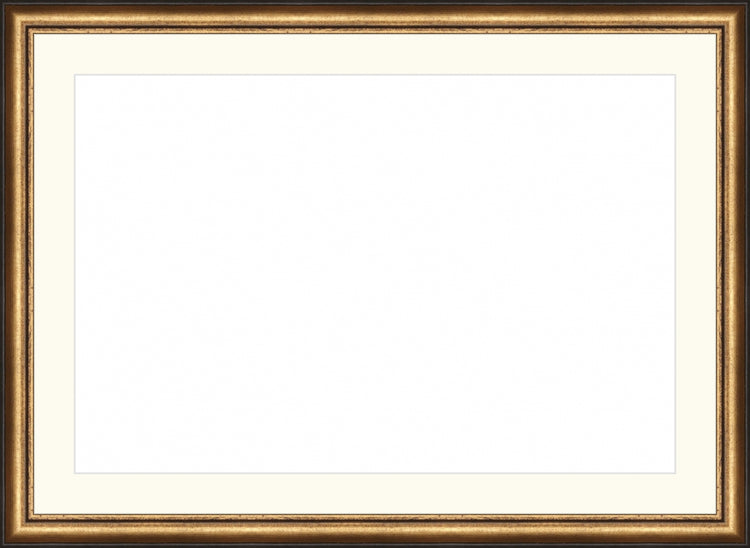 Distressed Gold and Black Frame. Opening Size: 12x18. Final Size: 16'' X 22''