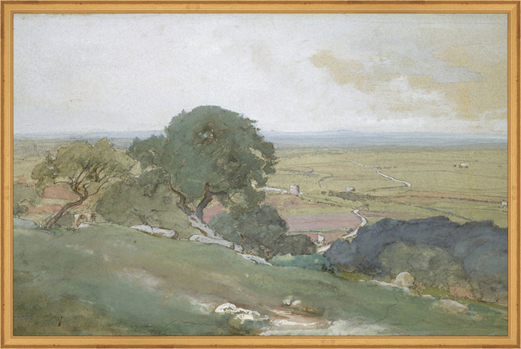 Framed Olivos. Frame: Traditional Gold. Paper: Rag Paper. Art Size: 19x29. Final Size: 20'' X 30''