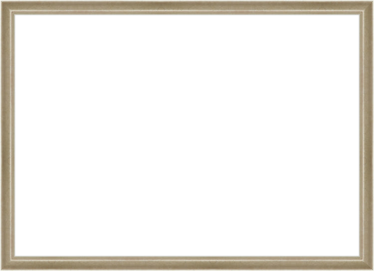 Light Silver Frame. Opening Size: 19x27. Final Size: 20'' X 28''