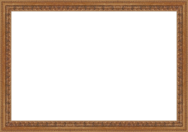 Madrid Gold Frame. Opening Size: 10x15. Final Size: 11'' X 16''