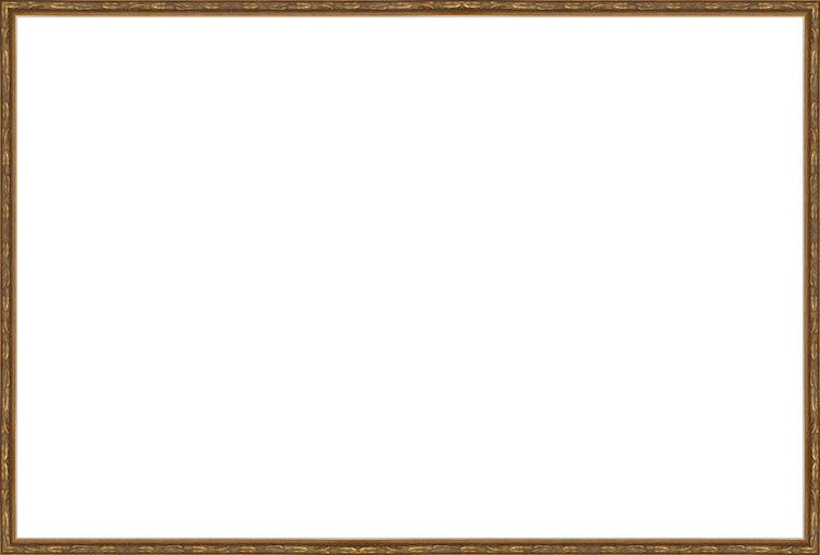 Embellished Antique Gold Frame. Opening Size: 24x36. Final Size: 25'' X 37''