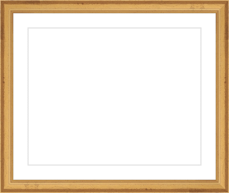Traditional Gold Frame. Opening Size: 8x10. Final Size: 11'' X 13''
