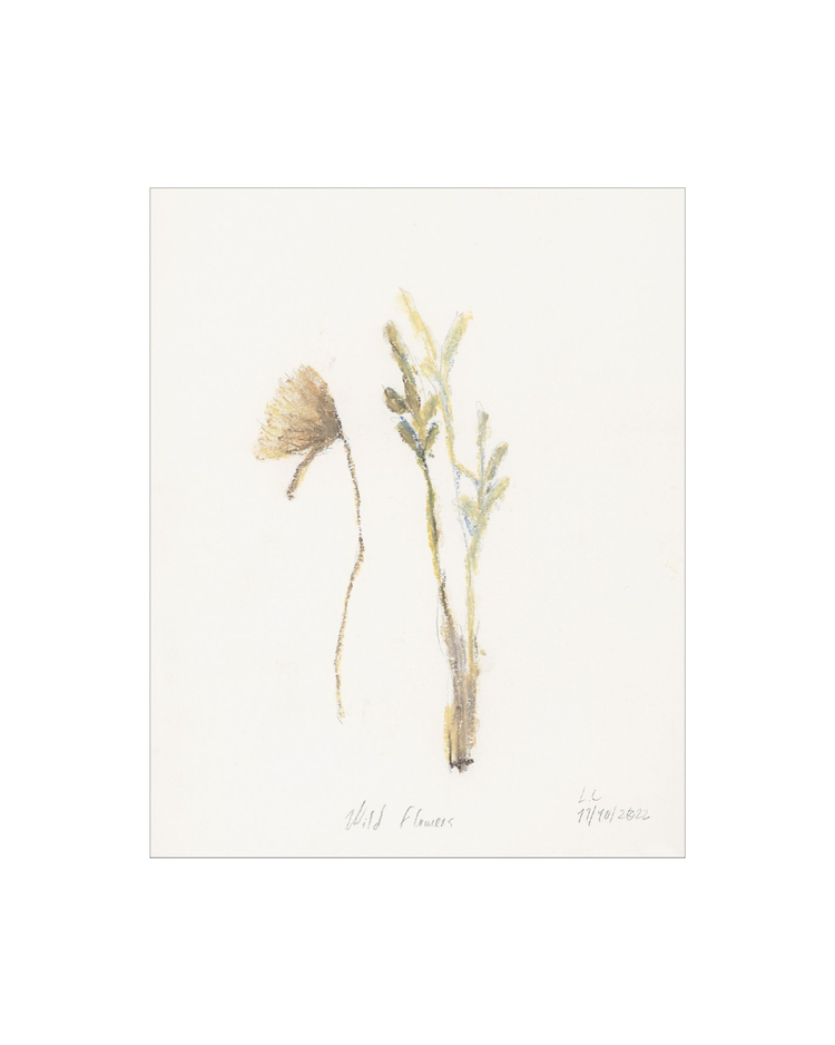 Wild Flowers II