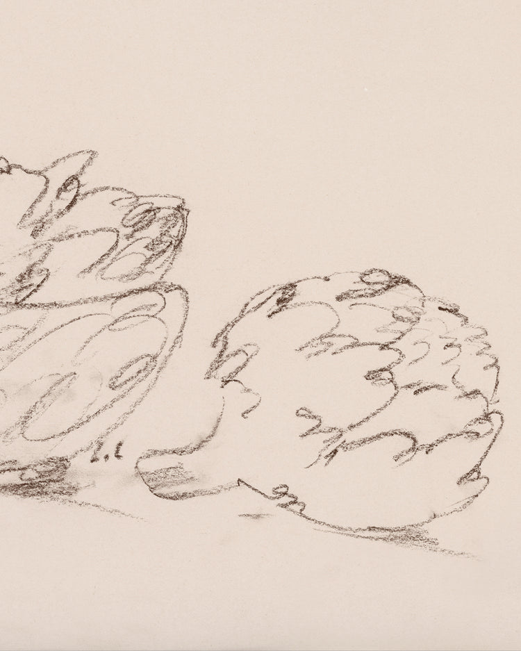 Artichokes
