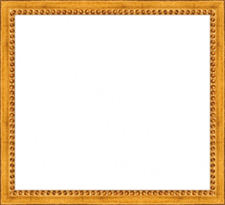 Gold Beaded Frame. Opening Size: 9x10. Final Size: 10'' X 11''