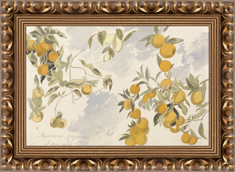 Framed Orangerie. Frame: Gold Ornate. Paper: Rag Paper. Art Size: 6x9. Final Size: 8'' X 11''