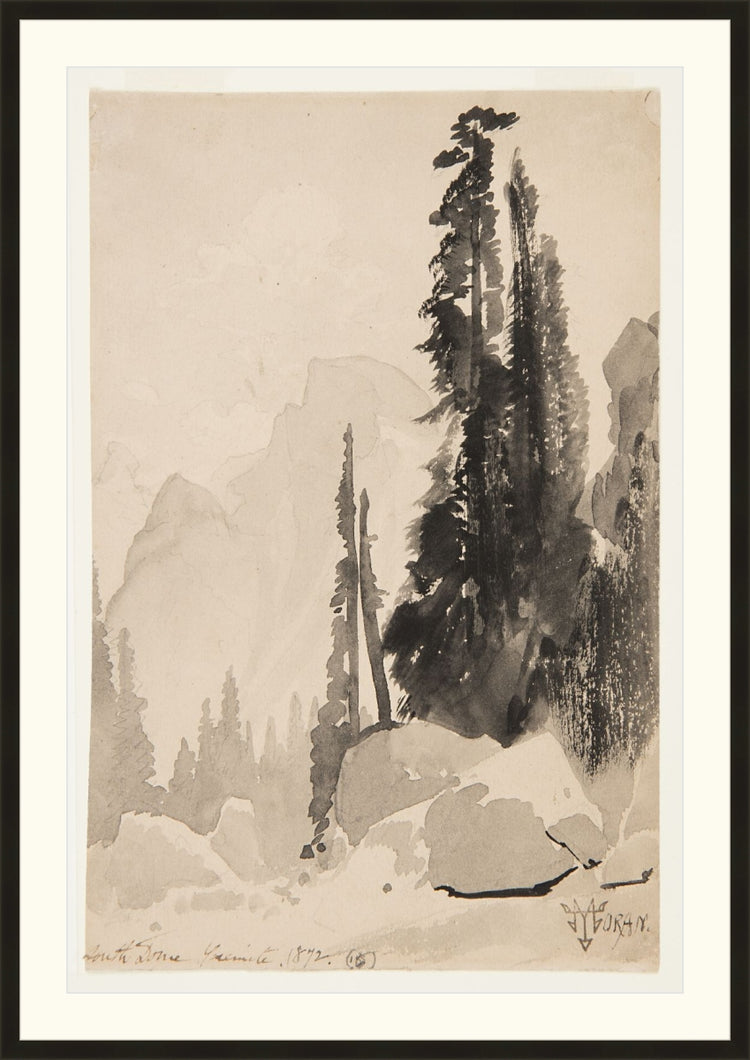 Antique Trees Drawing OAShop 2