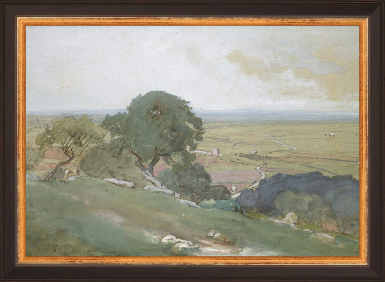 Framed Olivos. Frame: Traditional Black and Gold. Paper: Rag Paper. Art Size: 7x10. Final Size: 8'' X 11''