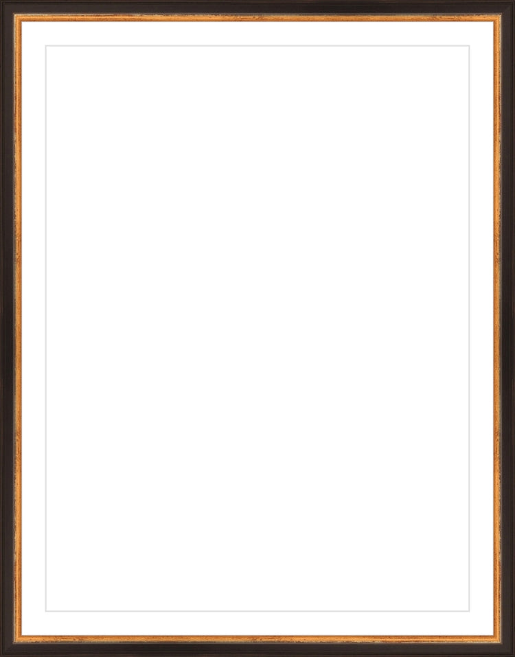 Traditional Black and Gold Frame. Opening Size: 20x15. Final Size: 23'' X 18''