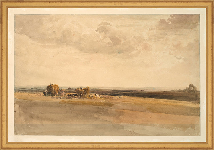 Framed Wheat Field. Frame: Traditional Gold. Paper: Rag Paper. Art Size: 13x19. Final Size: 14'' X 20''