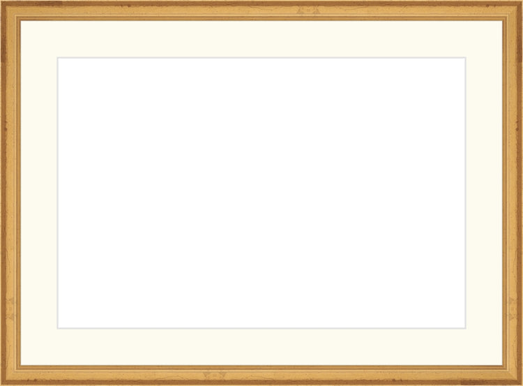 Traditional Gold Frame. Opening Size: 10x15. Final Size: 14'' X 19''