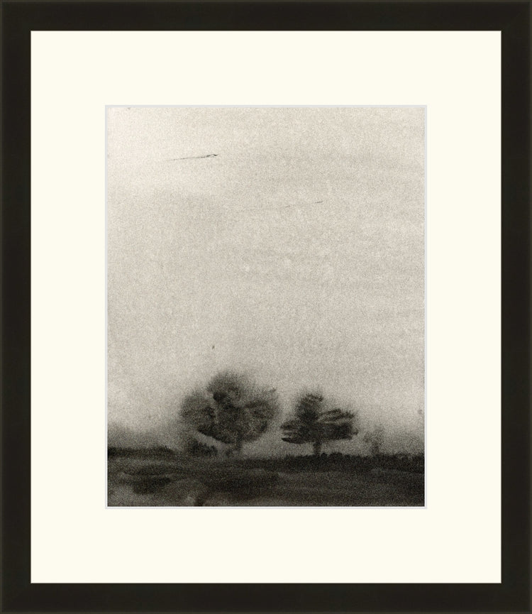 Trees In The Mist OAShop 2