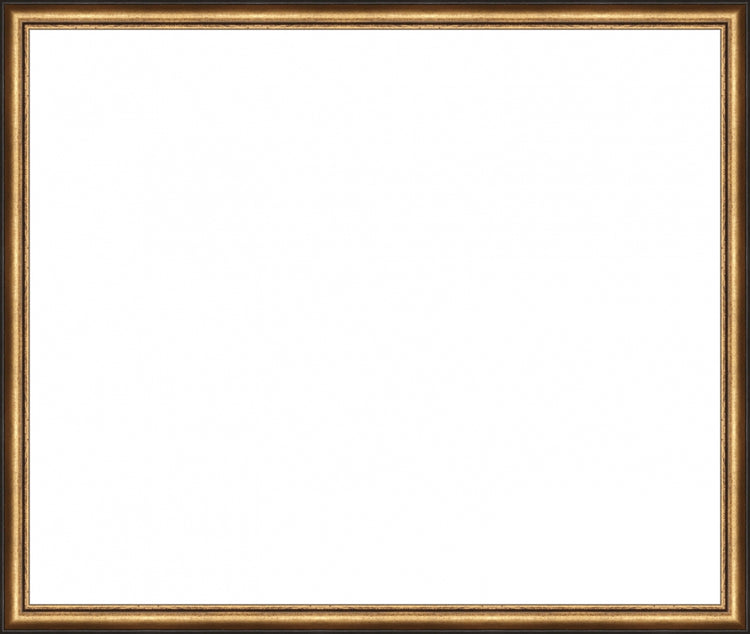 Distressed Gold and Black Frame. Opening Size: 20x24. Final Size: 21'' X 25''