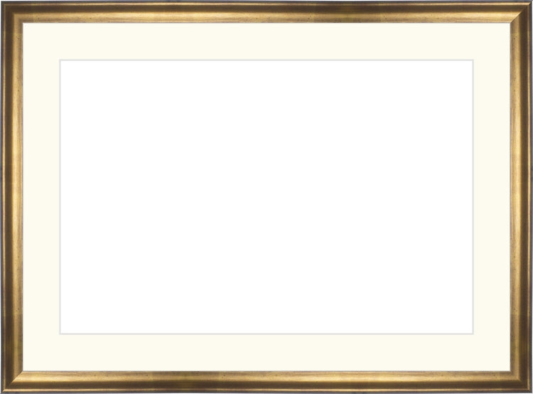Muted Gold Frame. Opening Size: 10x15. Final Size: 14'' X 19''