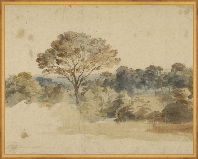 Framed Baroque Landscape. Frame: Traditional Gold. Paper: Rag Paper. Art Size: 23x29. Final Size: 24'' X 30''